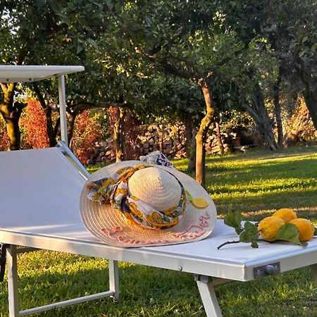 Lemon Factor Sorrento Bed & Breakfast Exterior foto