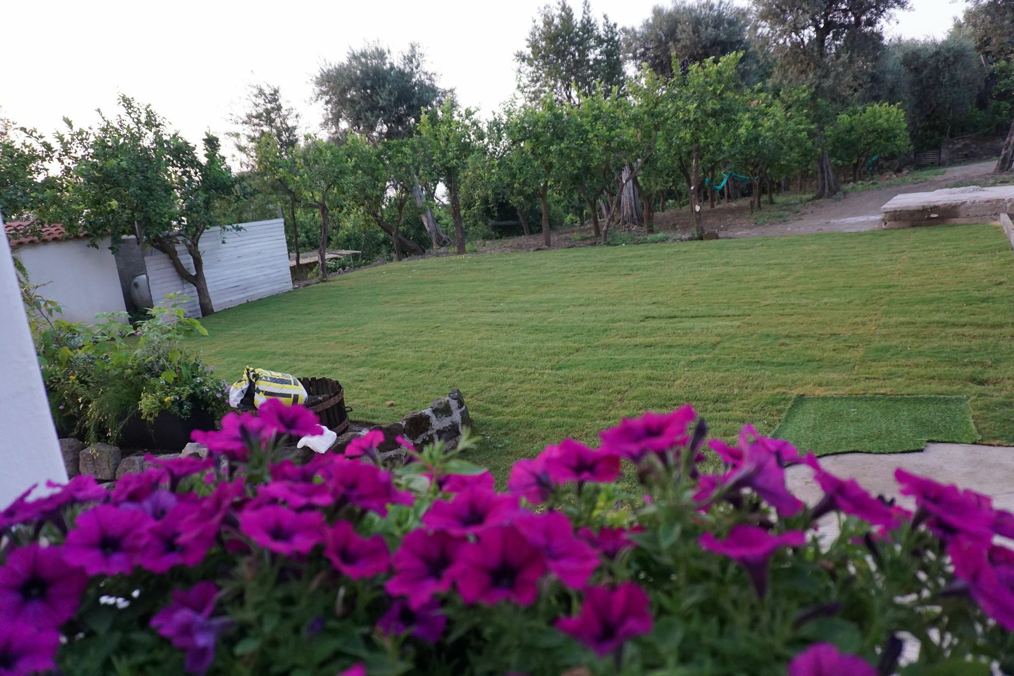 Lemon Factor Sorrento Bed & Breakfast Exterior foto