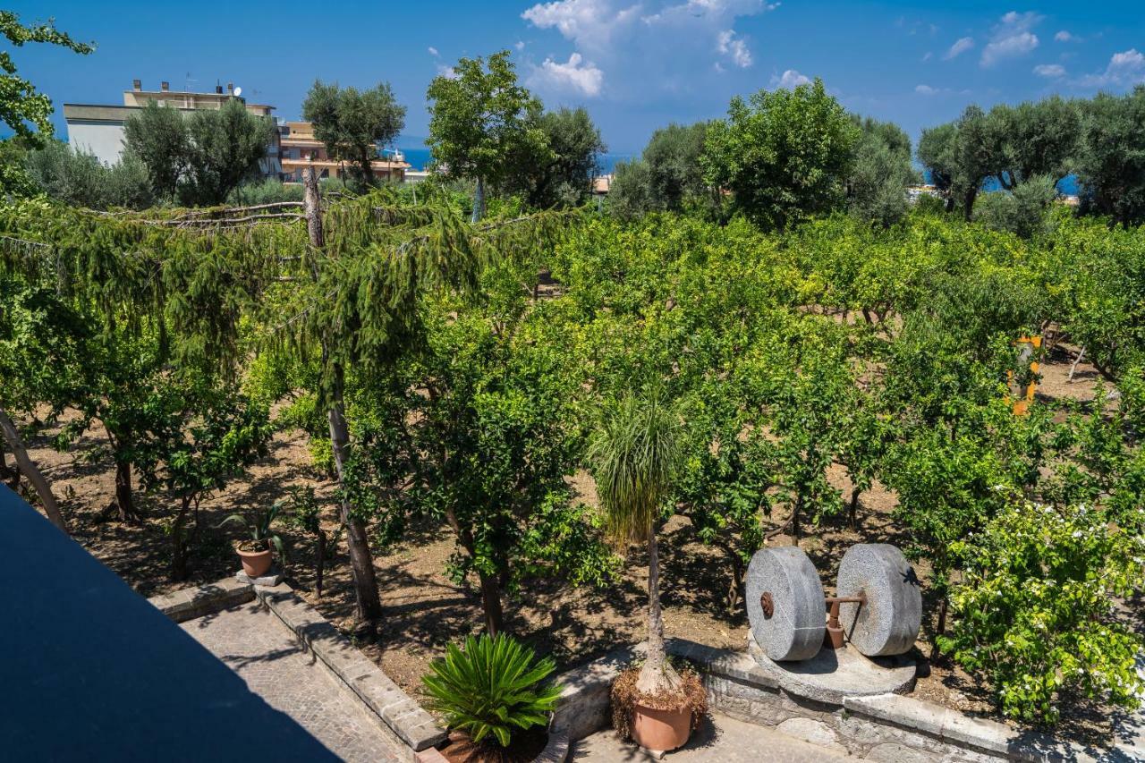 Lemon Factor Sorrento Bed & Breakfast Exterior foto