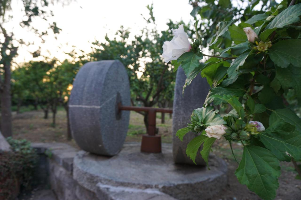 Lemon Factor Sorrento Bed & Breakfast Exterior foto